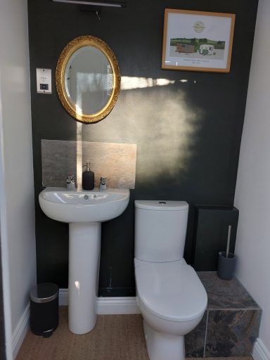 Small bathroom featuring a sink, toilet, mirror, and green walls.